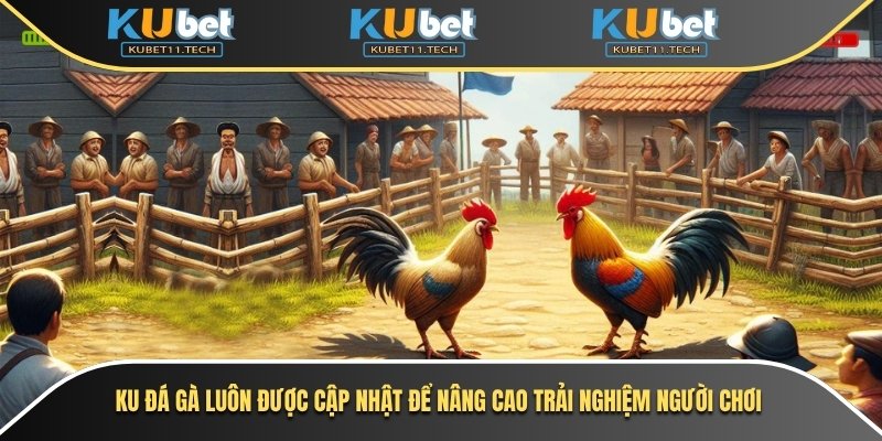 Ku đá gà luôn được cập nhật để nâng cao trải nghiệm người chơi