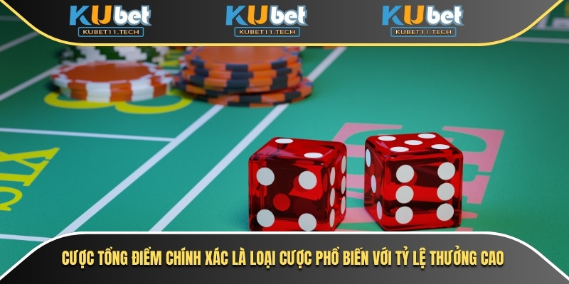 Cược tổng điểm chính xác là loại cược phổ biến với tỷ lệ thưởng cao